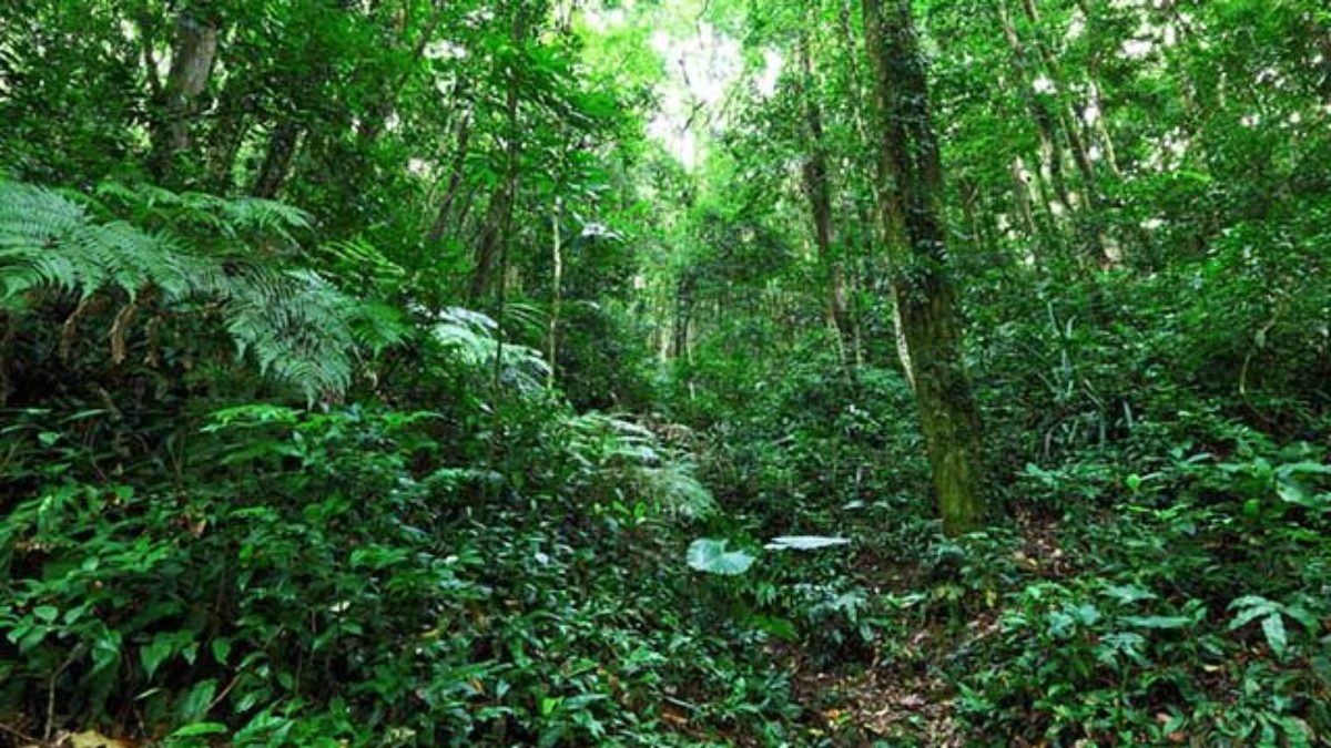 Enumeração em Larga Escala de Tecnologias a partir do ASN